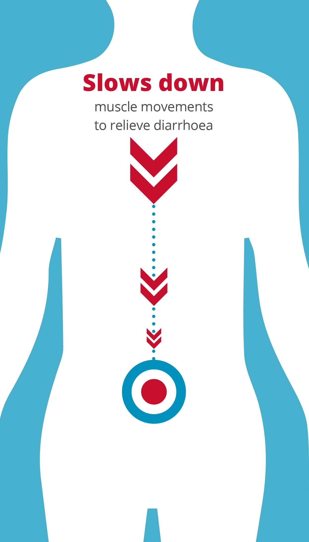 Diagram explaining how Gastro-Stop slows muscle movement - red arrows pointing to target icon in gut