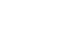 White double arrow icon