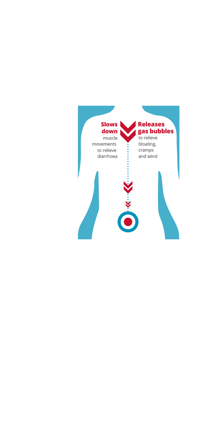 Diagram explaining how Gastro-Stop Plus works - red double arrows pointing to target icon in gut